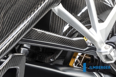 Carbon Ilmberger Bremsleitungsabdeckung BMW R 1250 GS