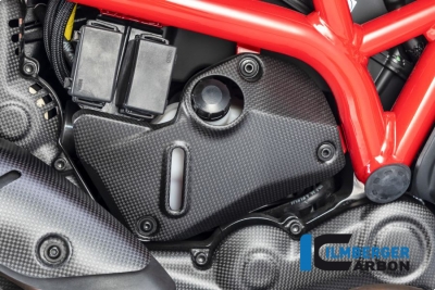 Cubierta Ilmberger carbono bajo bastidor juego Ducati Monster 1200