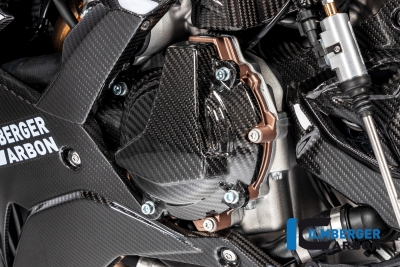 Carbon Ilmberger Lichtmaschinenabdeckung BMW S 1000 RR