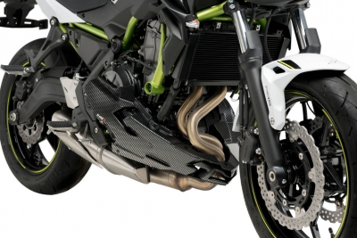 Puig Bugspoiler Kawasaki Z650