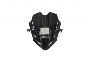 Carbon Ilmberger instrumentenpaneel Ducati Panigale V4 R