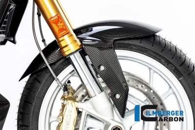 Parafango anteriore in carbonio Ilmberger BMW R 1250 R