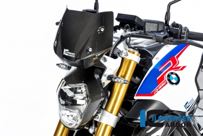 Carbon Ilmberger Windschild Carbon BMW R 1250 R