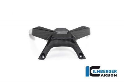 Carbon Ilmberger windshield carbon BMW R 1250 R