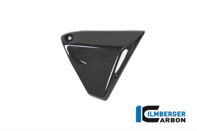 Carbon Ilmberger Rahmendreieckcover Set BMW R 1250 R