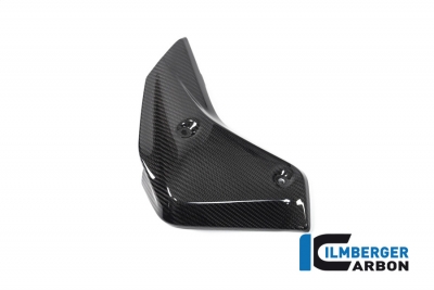 Carbon Ilmberger vattenkylare kpor set BMW R 1250 R