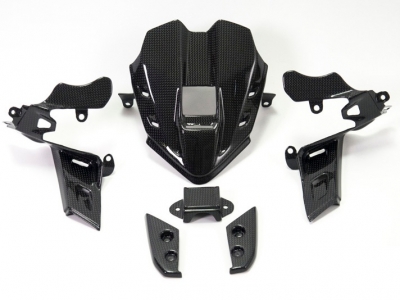 Carbon Ilmberger instrumentenafdekking Ducati Panigale V4 SP