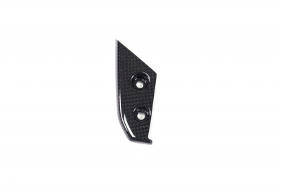 Carbon Ilmberger instrument cover Ducati Panigale V4 SP