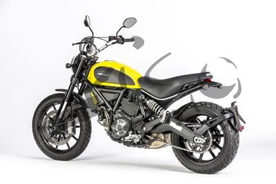 Carbon Ilmberger Auspuffhitzeschutz am Krmmer gross Ducati Scrambler Sixty 2