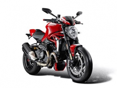 Performance Khlerschutzgitter Ducati Monster 1200