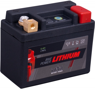 Intact Lithium Batterie