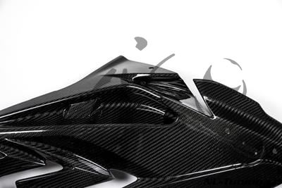 Carbon Ilmberger Seitenverkleidung Set BMW S 1000 RR