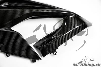 Carbon Ilmberger side fairing set BMW S 1000 RR