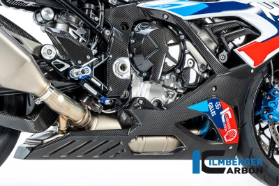 Base carenatura in carbonio BMW M 1000 RR