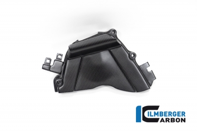 Carbon Ilmberger Ritzelabdeckung Honda CBR 1000 RR-R SP