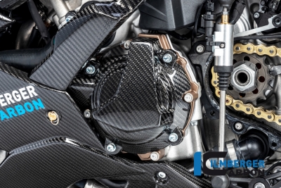 Carbon Ilmberger dynamo kap BMW M 1000 RR