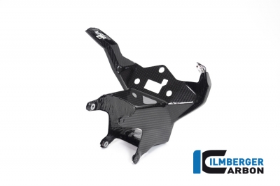 Carbon Ilmberger Instrumententrger oben Racing BMW S 1000 RR