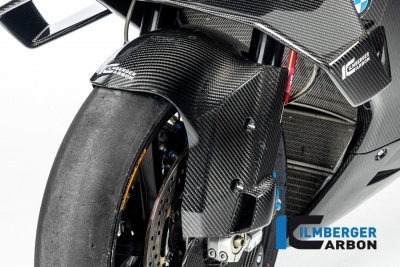 Carbon Ilmberger M Vorderradabdeckung BMW S 1000 RR