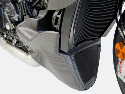 Ducabike Set spoiler arco in carbonio Ducati Diavel V4