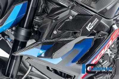 Carbon Ilmberger Winglets links BMW M 1000 R