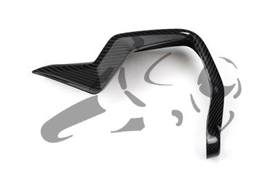 Carbon Ilmberger Protge-mains Set BMW M 1000 XR