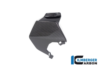 Carbon Ilmberger upper winglets set BMW M 1000 XR