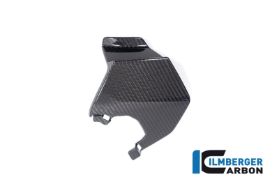 Carbon Ilmberger vleugeltipset BMW M 1000 XR