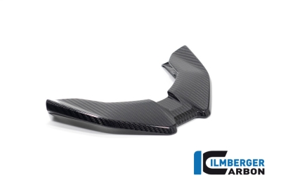 Carbon Ilmberger front beak BMW M 1000 XR