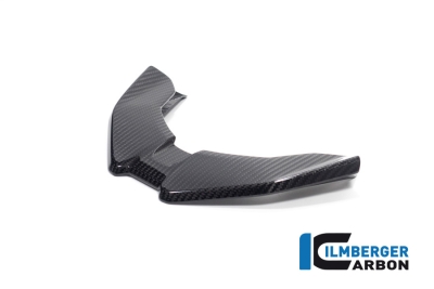 Carbon Ilmberger front beak BMW M 1000 XR