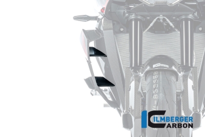 Carbon Ilmberger binnenvleugeltjesset BMW M 1000 XR