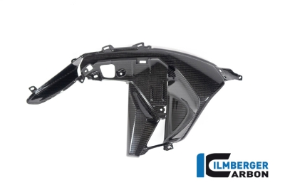 Carbon Ilmberger Luftauslassverkleidung Set BMW R 1300 GS