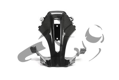 Carbon Ilmberger fairing middle part top BMW R 1200 RS