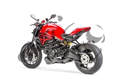 Carbon Ilmberger Hinterradabdeckung Ducati Monster 1200 R