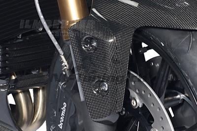 Carbon Ilmberger Flaps p stnkskrmen Triumph Speed Triple 1050