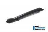 Carbon Ilmberger brake line cover BMW R 1250 R