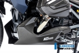 Spoiler moteur en carbone Ilmberger BMW R 1250 R