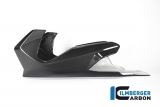 Spoiler moteur en carbone Ilmberger BMW R 1250 R