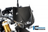 Voorruit Carbon Ilmberger BMW R 1250 R