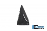 Carbon Ilmberger Cadre Triangle Cover Set BMW R 1250 RS