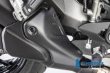 Carbon Ilmberger Auspuffhitzeschutz Ducati Monster 1200 S