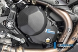 Carbon Ilmberger Motordeckelabdeckung Set Ducati Monster 1200 S