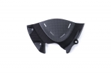 Carbon Ilmberger sprocket cover Ducati Monster 1200 S