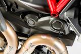 cache-courroie dente en carbone Ilmberger horizontal Ducati Monster 1200 S