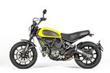 Carbon Ilmberger Auspuffhitzeschutz am Krmmer gross Ducati Scrambler Desert Sled