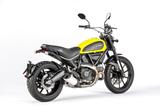 Carbon Ilmberger Auspuffhitzeschutz am Krmmer gross Ducati Scrambler Desert Sled