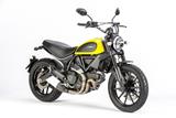 Carbon Ilmberger Windscherm Ducati Scrambler Desert Slede