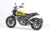 Carbon Ilmberger Auspuffhitzeschutz am Krmmer gross Ducati Scrambler Sixty 2