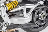 Carbon Ilmberger Beltabdeckung 2Teilig Ducati XDiavel