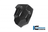 Juego tapa radiador agua carbono Ilmberger BMW R 1250 GS