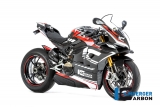 Carbon Ilmberger Winglets Ducati Panigale V4